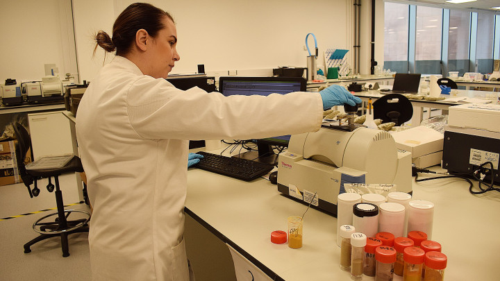 bia-analytical-ltd-researcher-scans-turmeric-sample-on-ftir.jpg